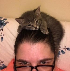 Meet your Posher, Amy